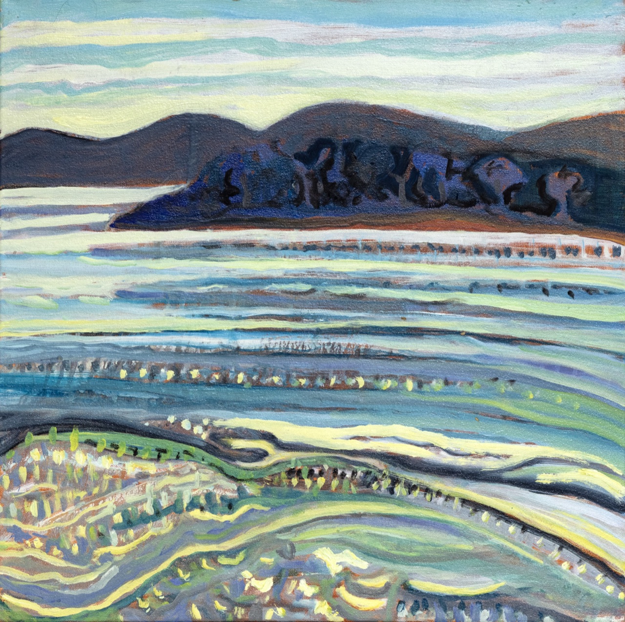 Late Afternoon Light 20 in x 20 in 2026